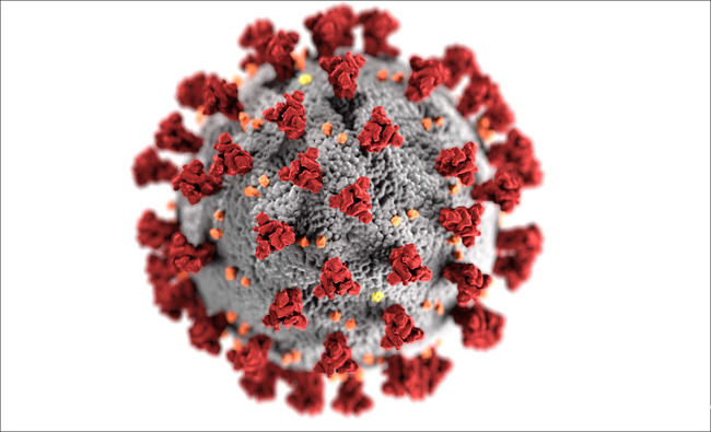 Pathogen SARS-CoV-2