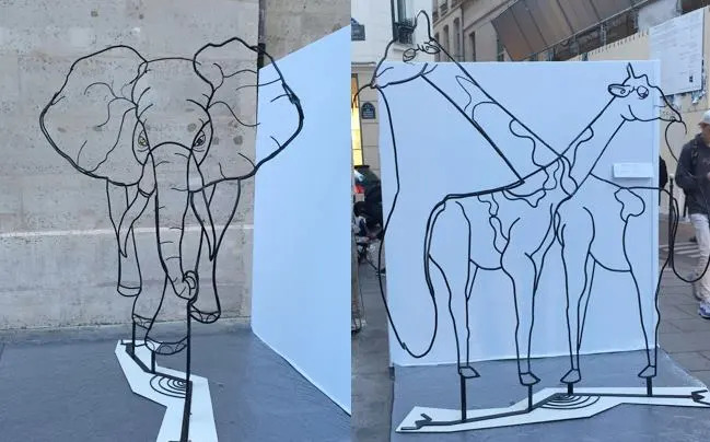 Anamorphic Wire Sculpture